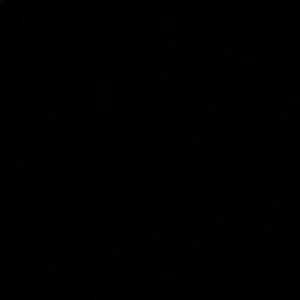 Meet your Posher, Emileigh